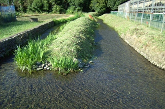 水路風景・湧水と矢川と府中用水が合流する地点